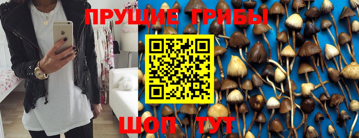 Галлюциногенные грибы Psilocybine cubensis  Вход с VPN  Казань 